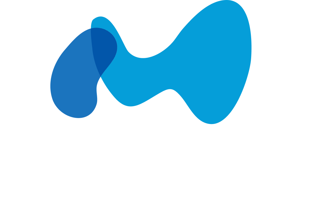 MEDIHUB Logo